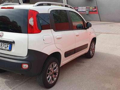 Fiat Panda 1.3 Multijet 4x4 VAN 2 POSTI Bianco usata Penne