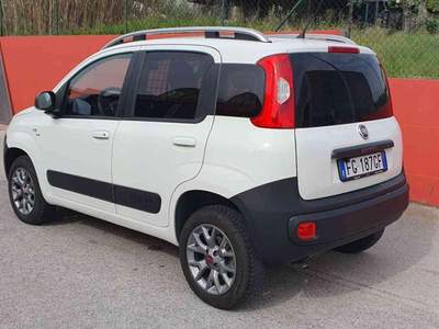 Fiat Panda 1.3 Multijet 4x4 VAN 2 POSTI Bianco usata Penne