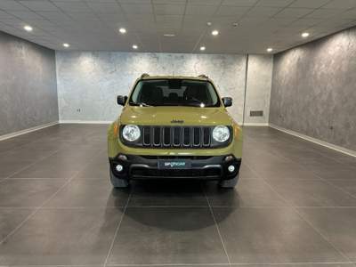 Jeep Renegade 2.0 Mjt 170CV 4WD Active Drive Low Trailhawk Verde usata Sala Consilina