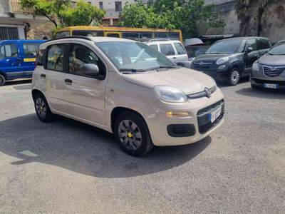 Fiat Panda 1.2 Lounge Beige usata Roccapiemonte