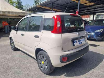 Fiat Panda 1.2 Lounge Beige usata Roccapiemonte