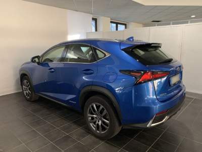 Lexus NX Hybrid 4WD Executive Blu/Azzurro usata Torino