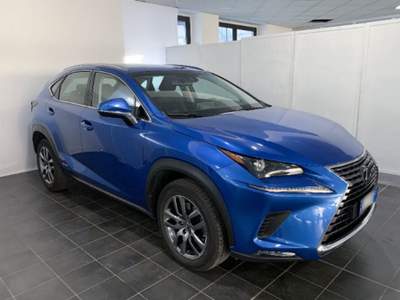 Lexus NX Hybrid 4WD Executive Blu/Azzurro usata Torino
