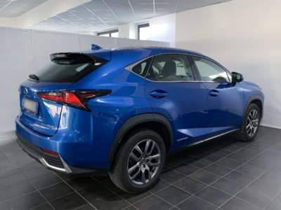 Lexus NX Hybrid 4WD Executive Blu/Azzurro usata Torino