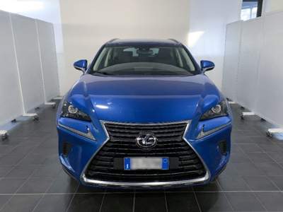 Lexus NX Hybrid 4WD Executive Blu/Azzurro usata Torino
