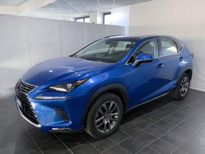 Lexus NX Hybrid 4WD Executive Blu/Azzurro usata Torino