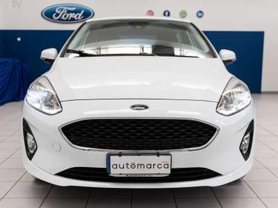 Ford Fiesta 1.1 75 CV 5 porte Plus Bianco usata Silea