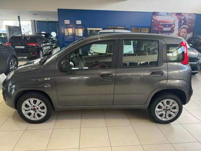 Fiat Panda 0.9 TwinAir Turbo Natural Power Easy Grigio usata Voghera