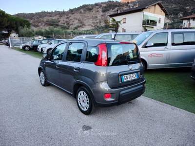 Fiat Panda 1.0 FireFly S&S Hybrid OK NEOPATENTATI-  - Grigio usata Arco