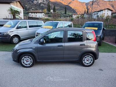 Fiat Panda 1.0 FireFly S&S Hybrid OK NEOPATENTATI-  - Grigio usata Arco