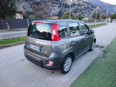 Fiat Panda 1.0 FireFly S&S Hybrid OK NEOPATENTATI-  - Grigio usata Arco