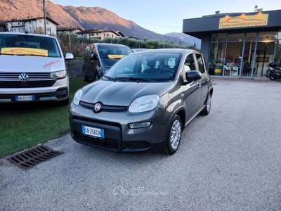 Fiat Panda 1.0 FireFly S&S Hybrid OK NEOPATENTATI-  - Grigio usata Arco