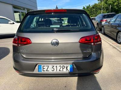 Volkswagen Golf 1.4 TSI 125 CV DSG 5p. Executive 4 Free BlueMotion Grigio usata Scarperia e San Piero