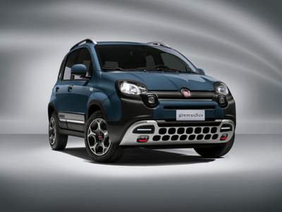 Fiat Panda 1.0 FireFly S&S Hybrid Grigio usata Sanguinetto