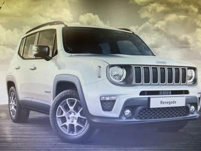 Jeep Renegade 1.6 Mjt 130 CV Limited Bianco usata Palermo