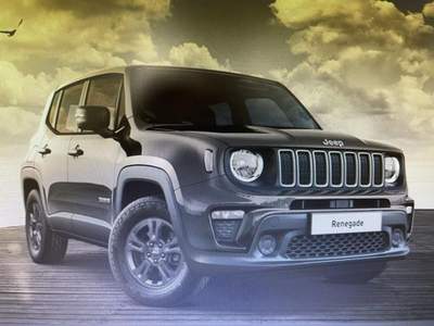 Jeep Renegade 1.6 Mjt 130 CV Longitude Grigio usata Palermo