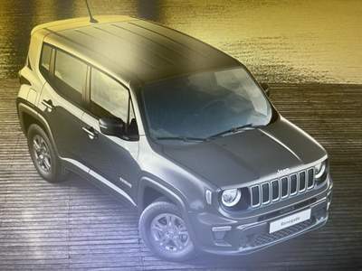 Jeep Renegade 1.6 Mjt 130 CV Longitude Grigio usata Palermo