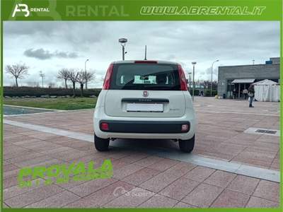 Fiat Panda Panda 1.0 FireFly S&S Hybrid Bianco usata Rivalta di Torino