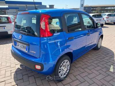 Fiat Panda 1.0 FireFly Hybrid NOLEGGIO 48 MESI 60000 KM Blu/Azzurro usata Brusnengo