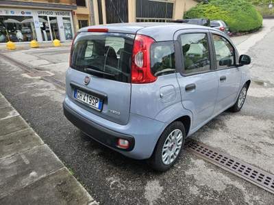 Fiat Panda 1.0 FireFly S&S Hybrid Grigio usata Eupilio
