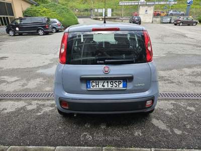 Fiat Panda 1.0 FireFly S&S Hybrid Grigio usata Eupilio
