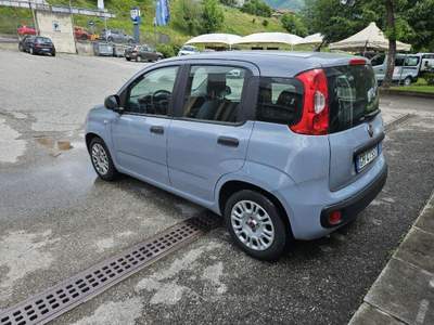 Fiat Panda 1.0 FireFly S&S Hybrid Grigio usata Eupilio