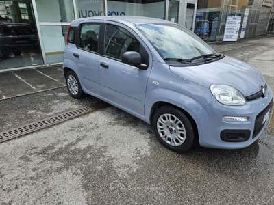 Fiat Panda 1.0 FireFly S&S Hybrid Grigio usata Eupilio