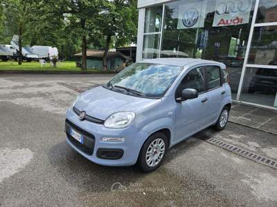 Fiat Panda 1.0 FireFly S&S Hybrid Grigio usata Eupilio