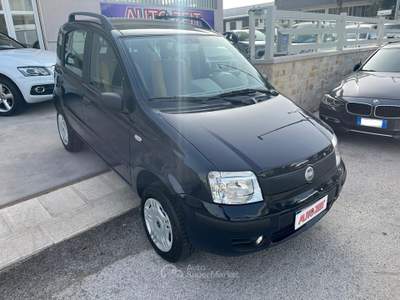 Fiat Panda 4x4 Blu/Azzurro usata Castellana Grotte