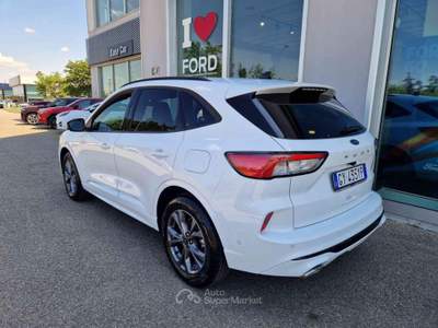 Ford Kuga 1.5 EcoBoost 150 CV 2WD ST-Line Bianco usata Imola