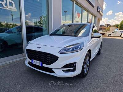 Ford Kuga 1.5 EcoBoost 150 CV 2WD ST-Line Bianco usata Imola