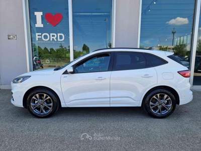 Ford Kuga 1.5 EcoBoost 150 CV 2WD ST-Line Bianco usata Imola