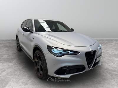 Alfa Romeo Stelvio Stelvio - stelvio 2.2 t competizione q4 210cv auto Grigio usata Biella