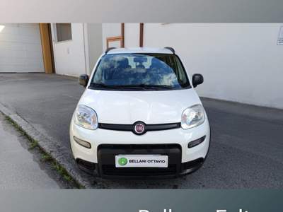 Fiat Panda 1.0 FireFly S&S Hybrid City Life Bianco usata Feltre