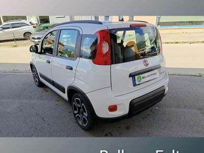 Fiat Panda 1.0 FireFly S&S Hybrid City Life Bianco usata Feltre