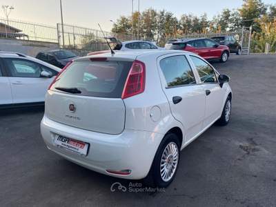 Fiat Punto 1.2 8V 5 porte Street Bianco usata Giugliano in Campania