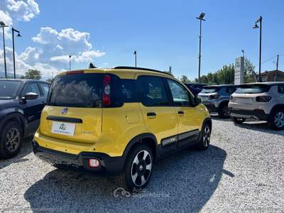 Fiat Panda Panda 1.0 Hybrid Pandina Giallo usata Massa