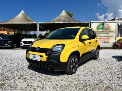 Fiat Panda Panda 1.0 Hybrid Pandina Giallo usata Massa