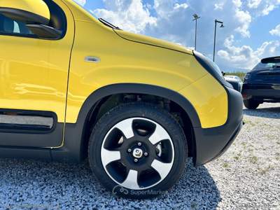 Fiat Panda Panda 1.0 Hybrid Pandina Giallo usata Massa