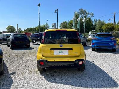 Fiat Panda Panda 1.0 Hybrid Pandina Giallo usata Massa