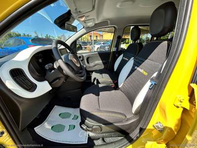 Fiat Panda Panda 1.0 Hybrid Pandina Giallo usata Massa