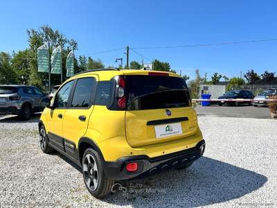 Fiat Panda Panda 1.0 Hybrid Pandina Giallo usata Massa