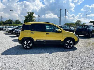 Fiat Panda Panda 1.0 Hybrid Pandina Giallo usata Massa
