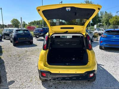 Fiat Panda Panda 1.0 Hybrid Pandina Giallo usata Massa