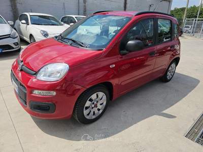 Fiat Panda  1.3 mjt 16v Young 75cv usata Aversa