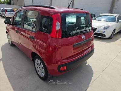 Fiat Panda  1.3 mjt 16v Young 75cv usata Aversa