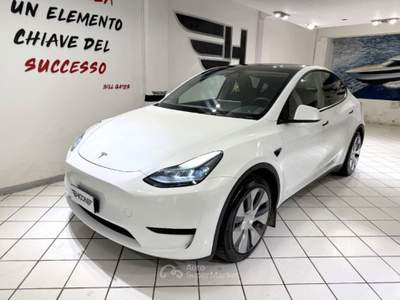 Tesla Model Y Single Motor rwd Bianco usata Viterbo