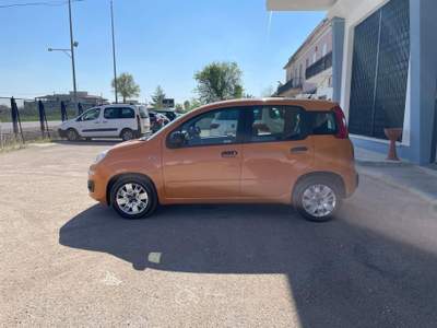 Fiat Panda 95 CV S&S Lounge Arancione usata CERIGNOLA