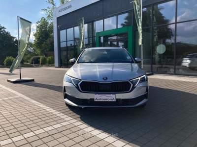 Skoda Octavia 2.0 TDI 150 CV DSG Wagon Executive Argento usata Paruzzaro