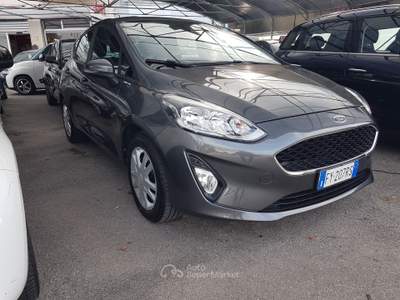 Ford Fiesta benzina gpl Grigio usata Treviglio